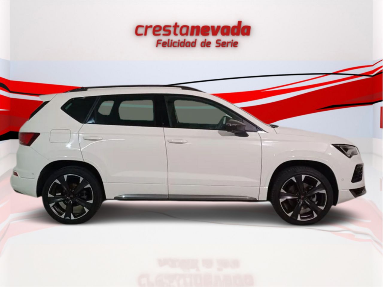 cupra ateca 2024 / foto grande (2)