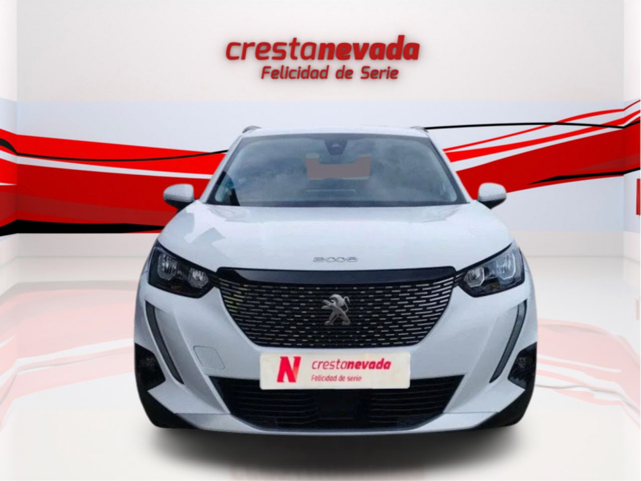 peugeot 2008 2020 / foto grande (2)