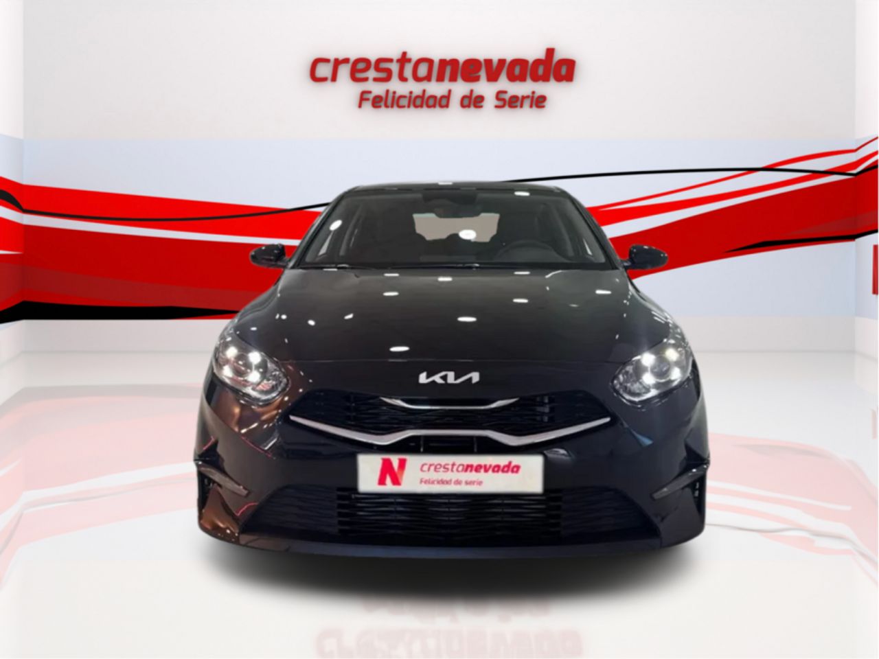 kia ceed 2024 / foto grande (2)