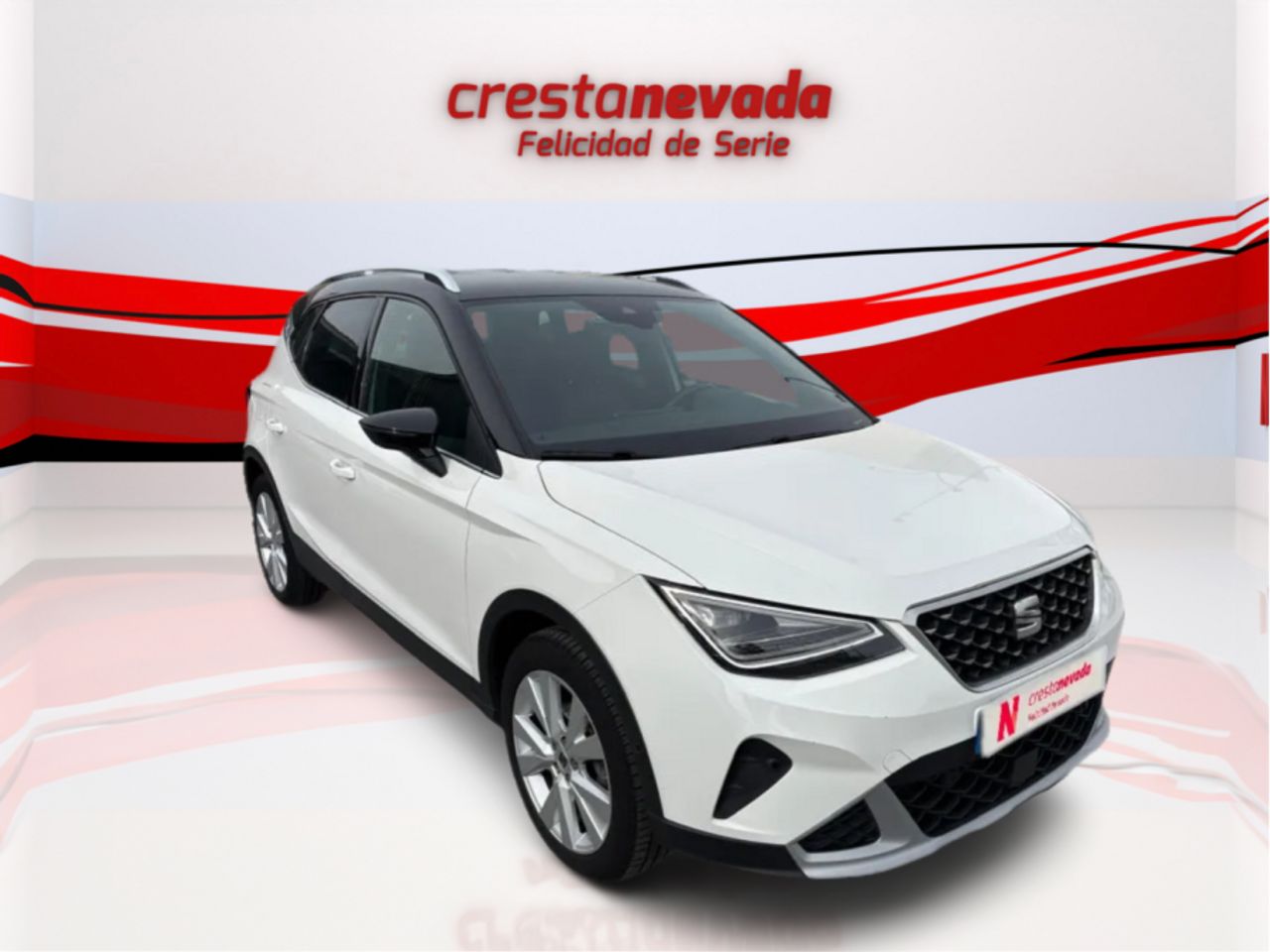 seat arona 2022 / foto grande (3)