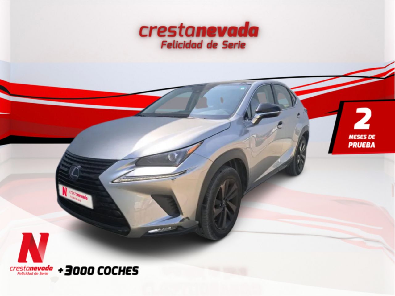Foto lexus nx 2025 /