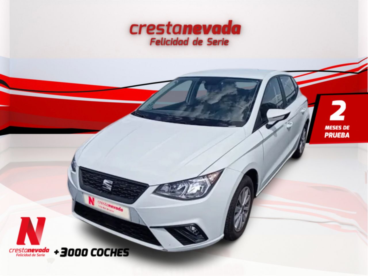 seat ibiza 2021 /