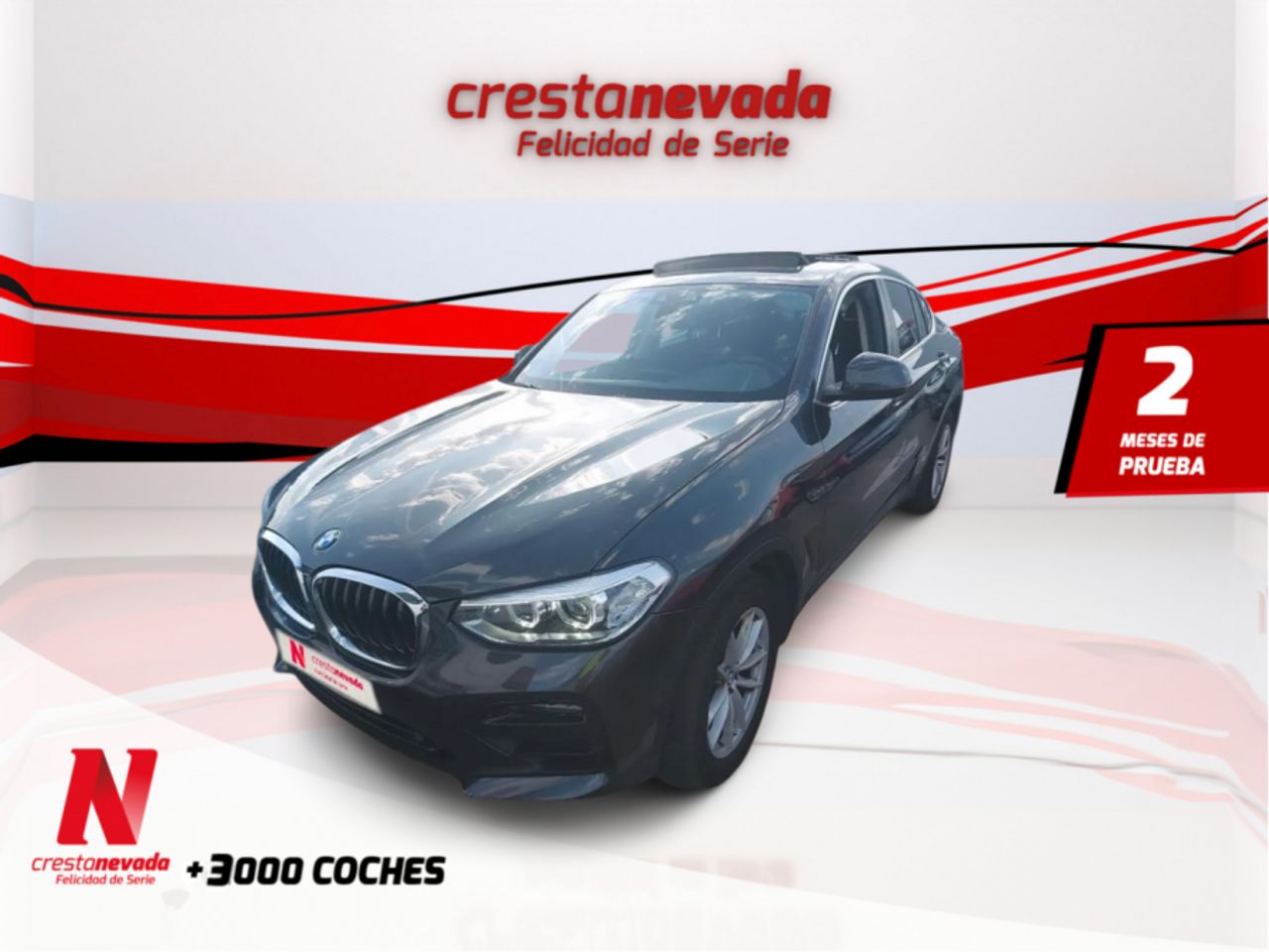 bmw x4 2021 /