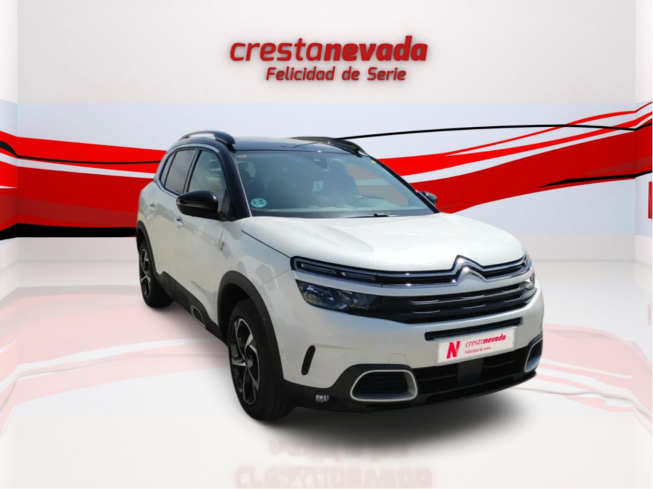 citroën c5 aircross 2021 / foto grande (3)