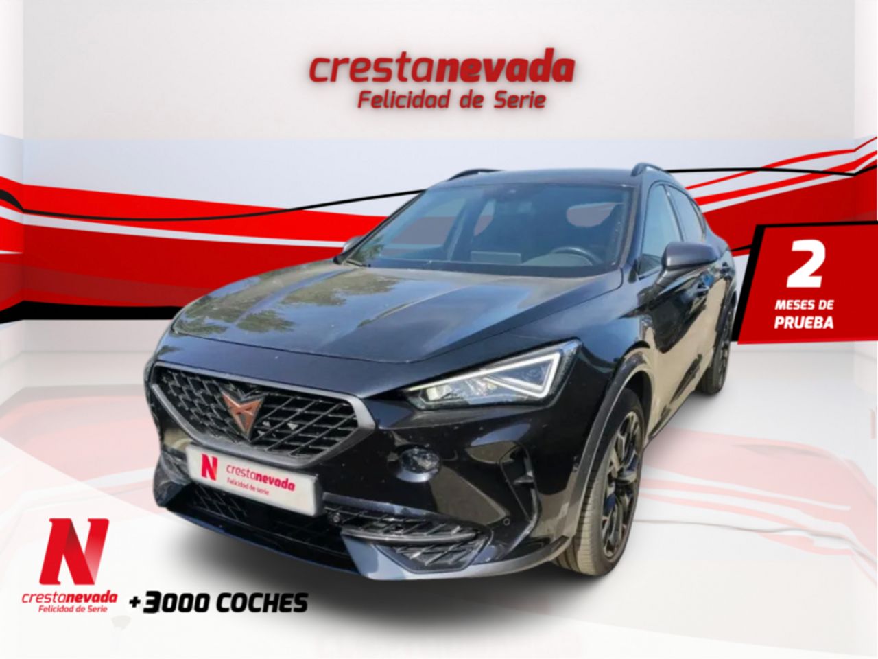 Foto cupra formentor 2022 /