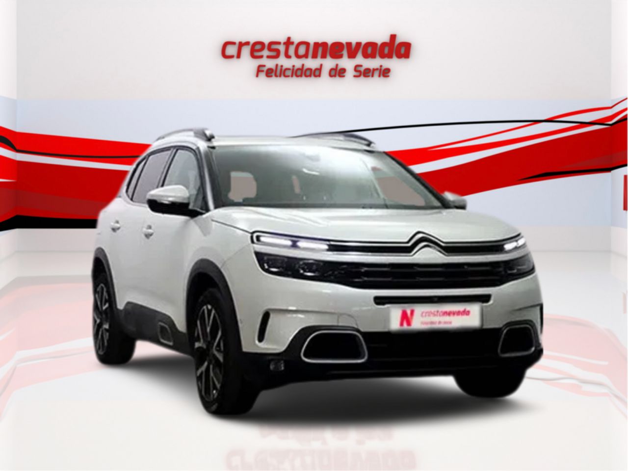 citroën c5 aircross 2019 / foto grande (3)
