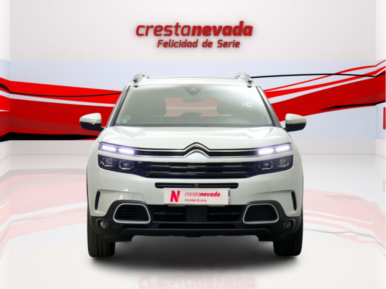 citroën c5 aircross 2019 / foto grande (2)