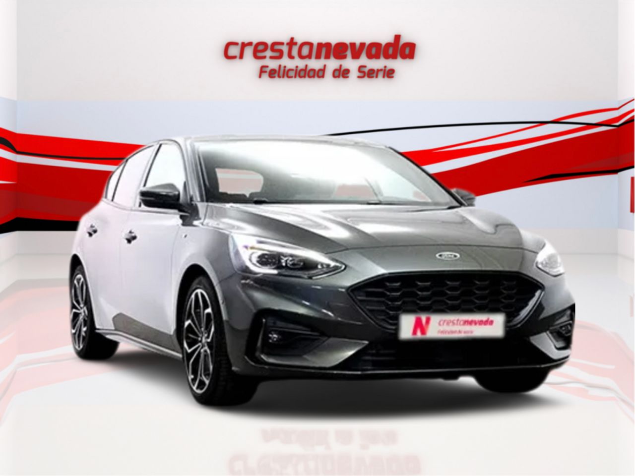 ford focus 2023 / foto grande (3)