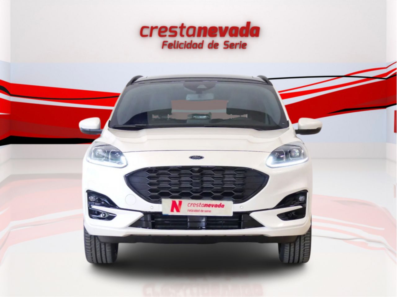 ford kuga 2022 / foto grande (2)