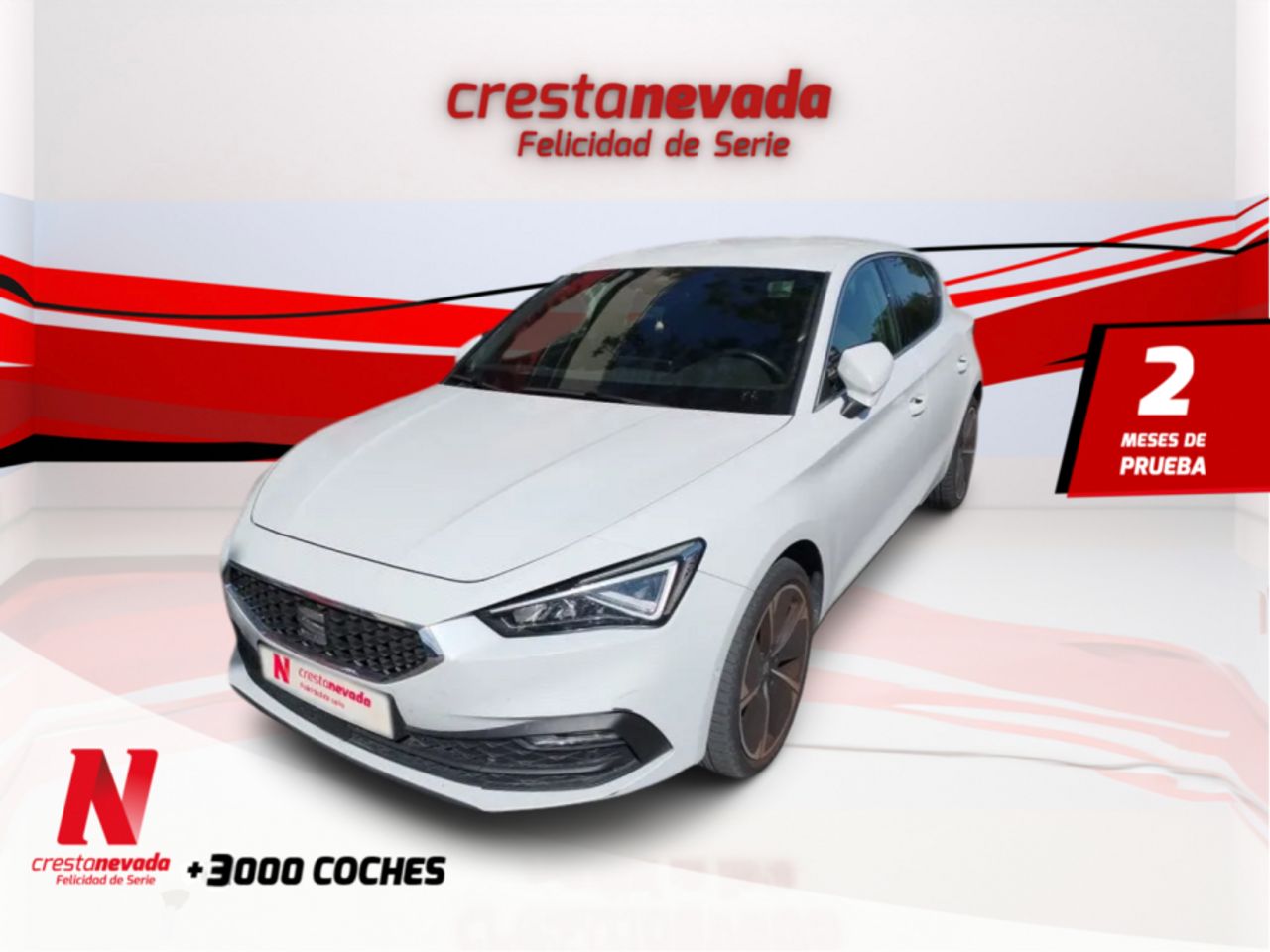 seat leon 2020 /