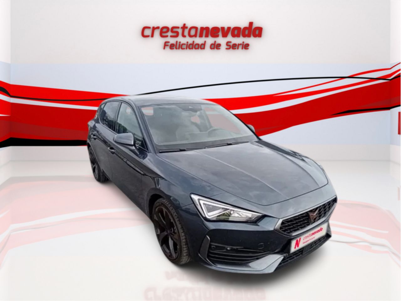 cupra león 2023 / foto grande (3)