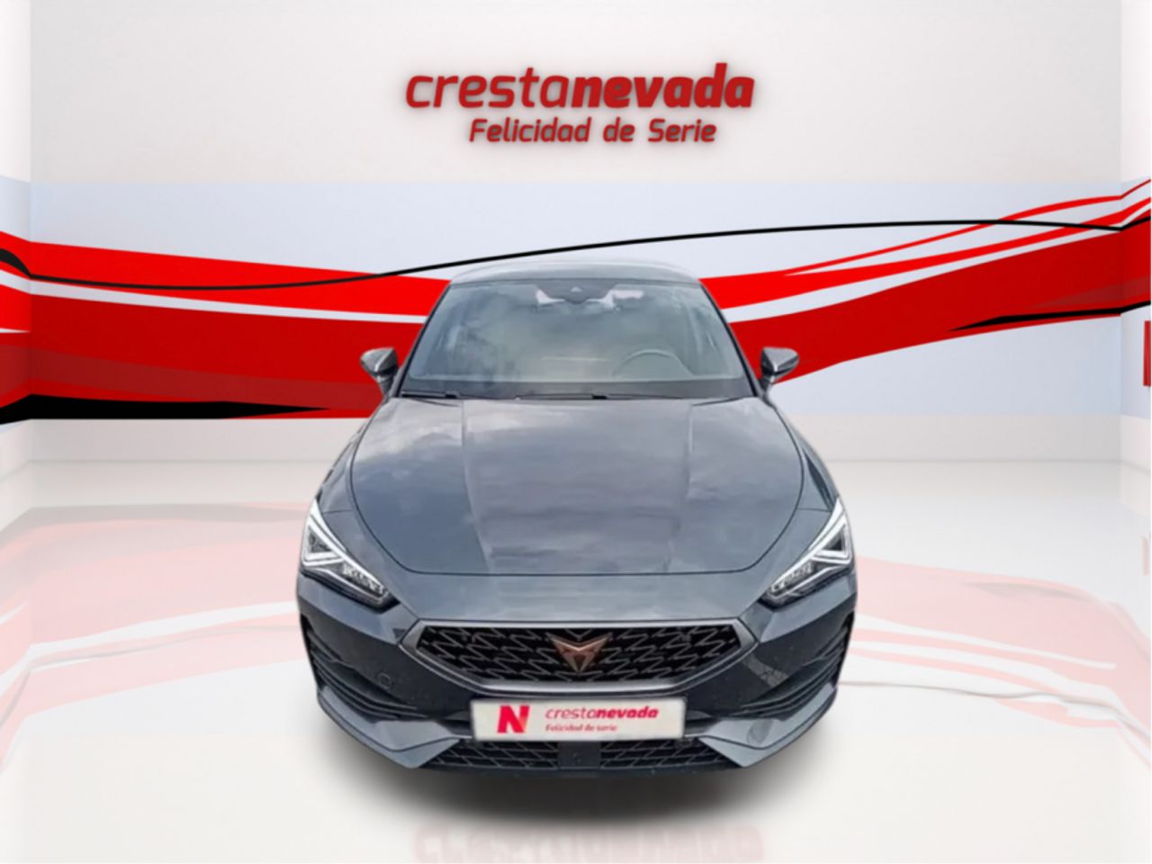 cupra león 2023 / foto grande (2)