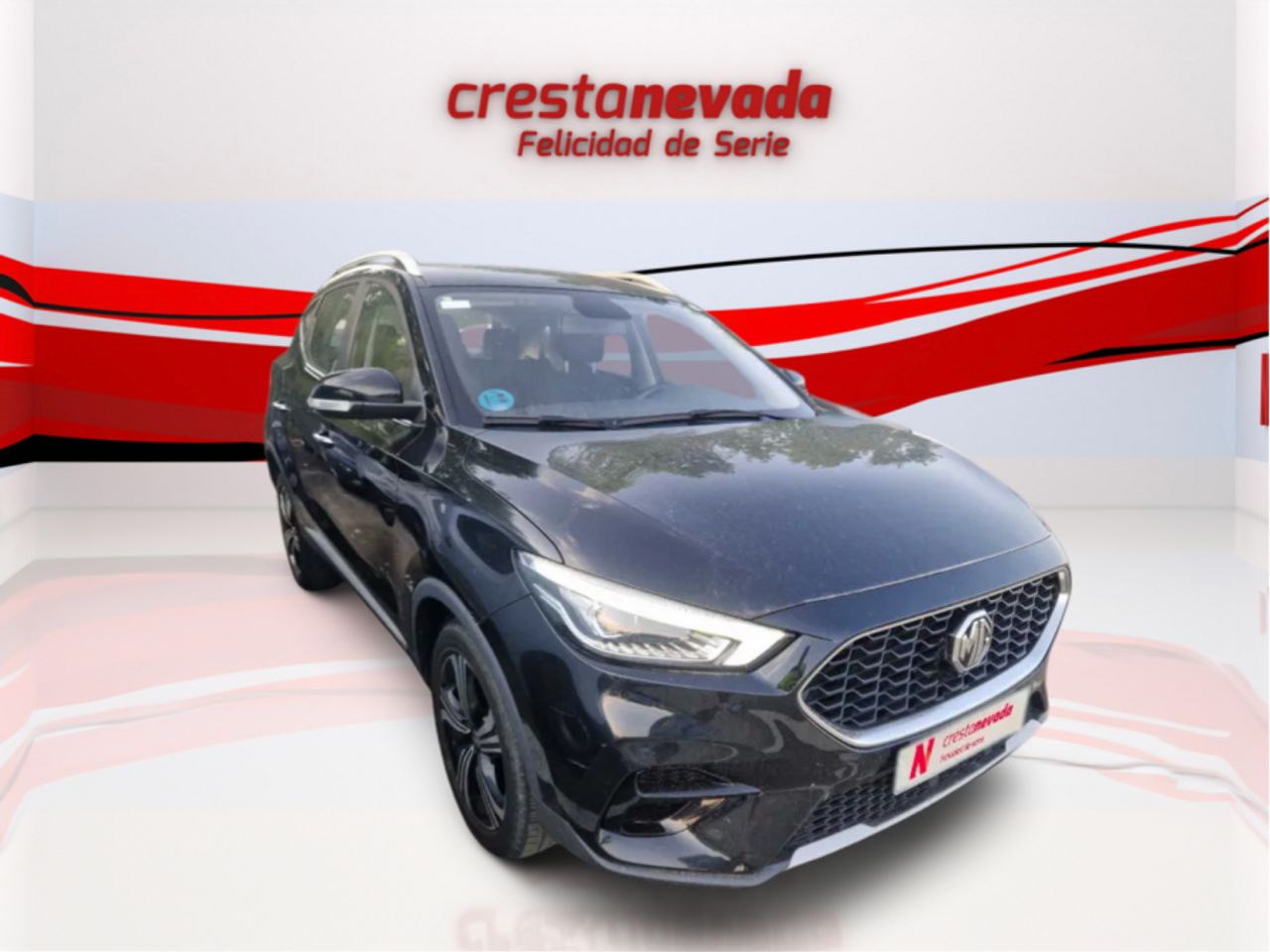 mg zs 2022 / foto grande (2)