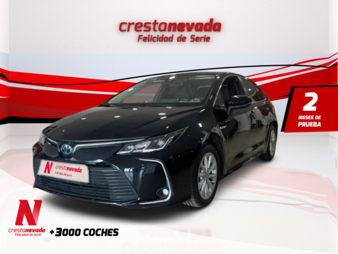 toyota corolla 2021 /