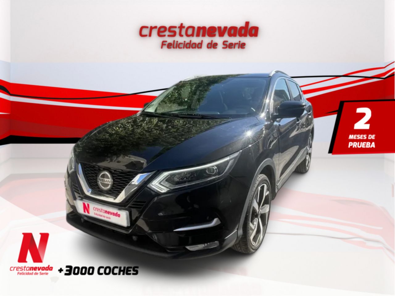nissan qashqai 2019 /
