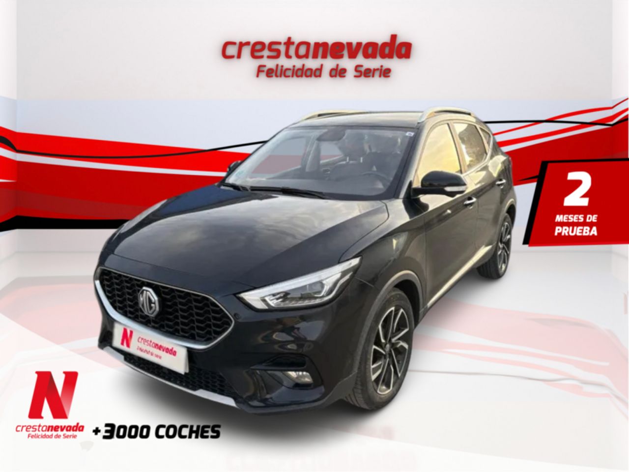 mg zs 2022 /