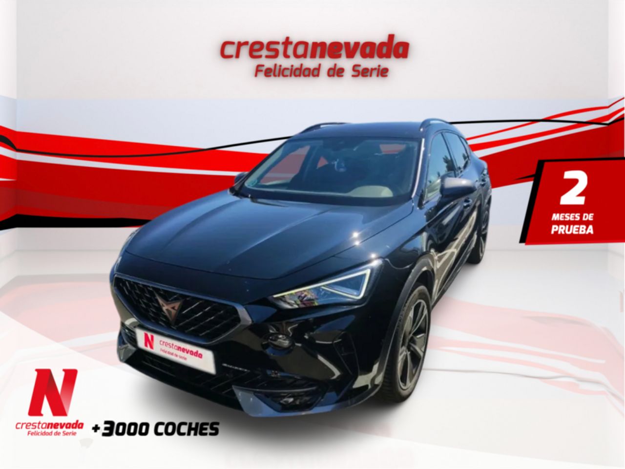 cupra formentor 2022 /