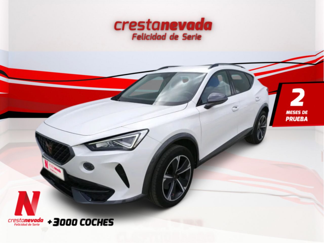 cupra formentor 2022 /