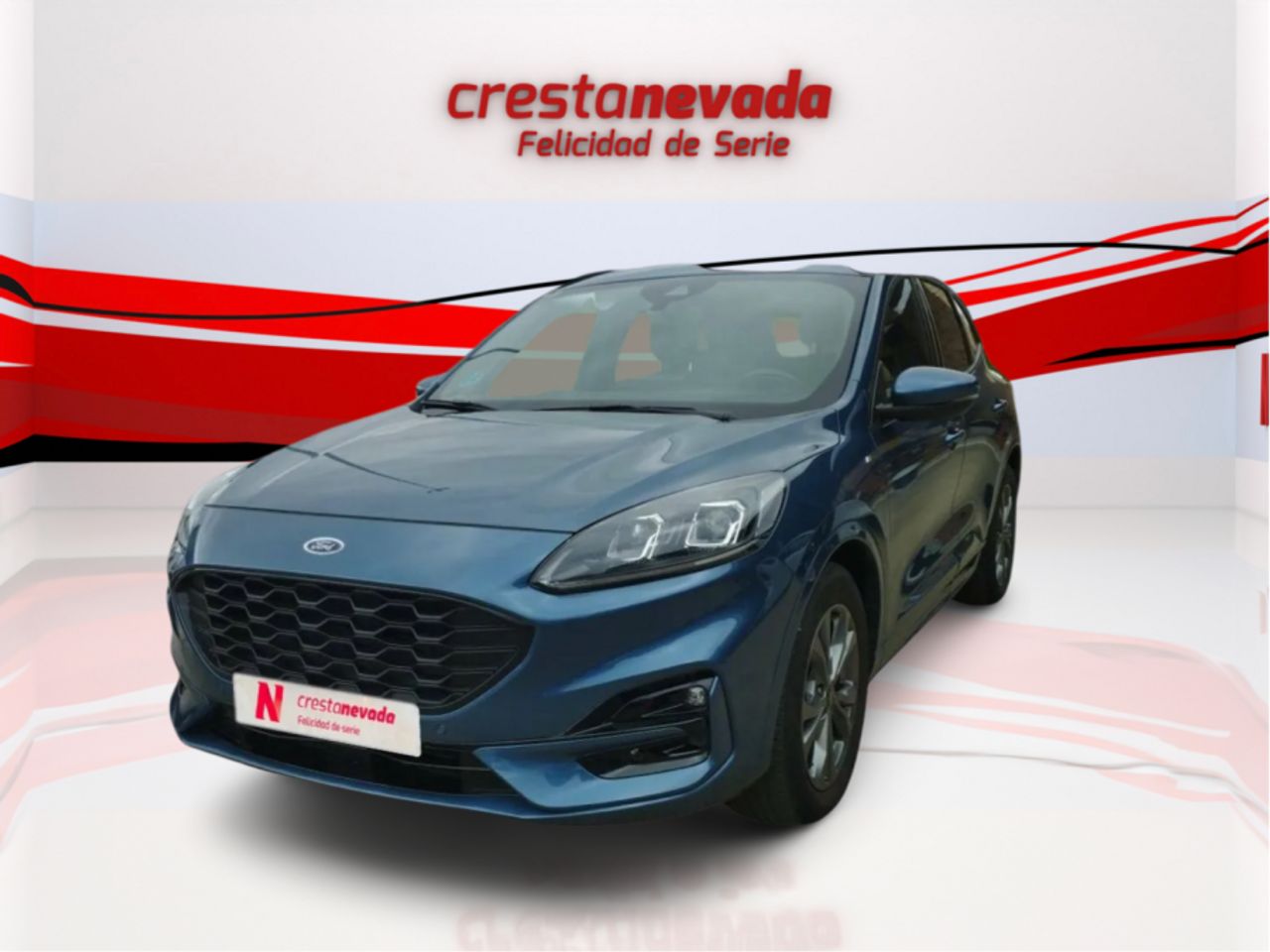ford kuga 2022 /