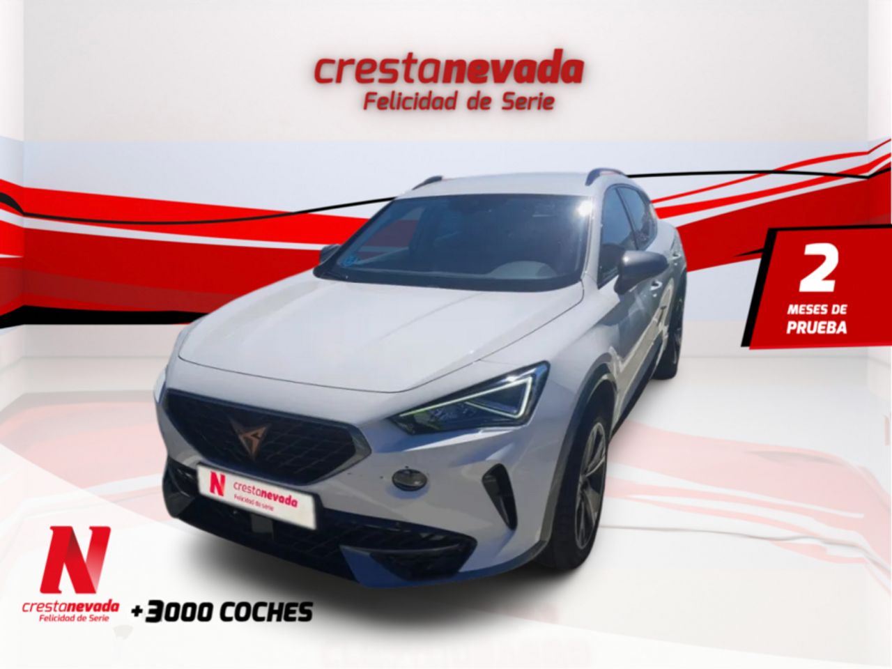 cupra formentor 2022 /