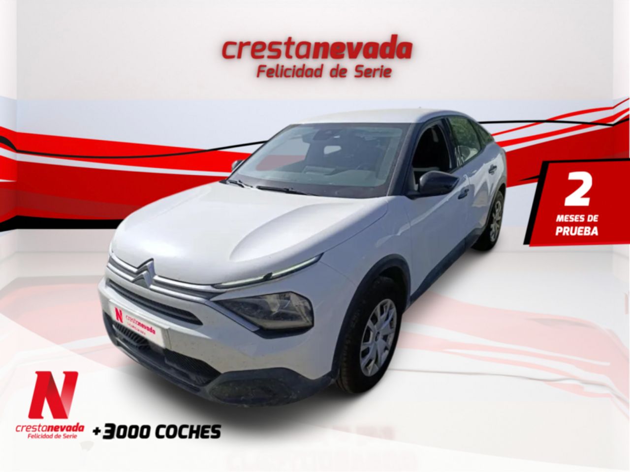citroën c4 2022 /