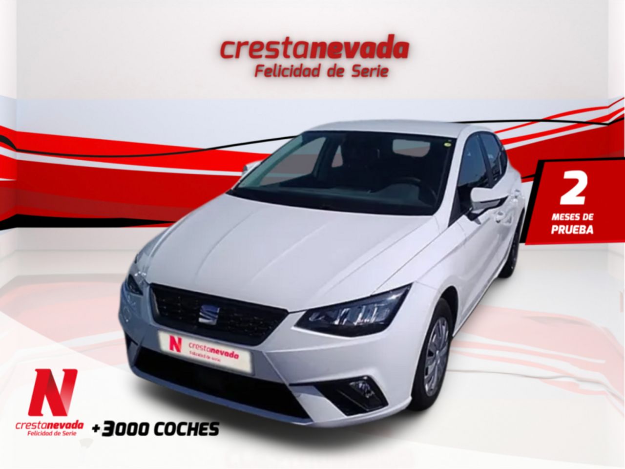 seat ibiza 2022 /