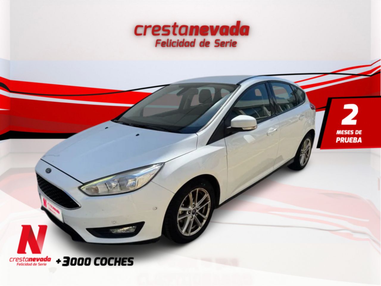 ford focus 2016 /