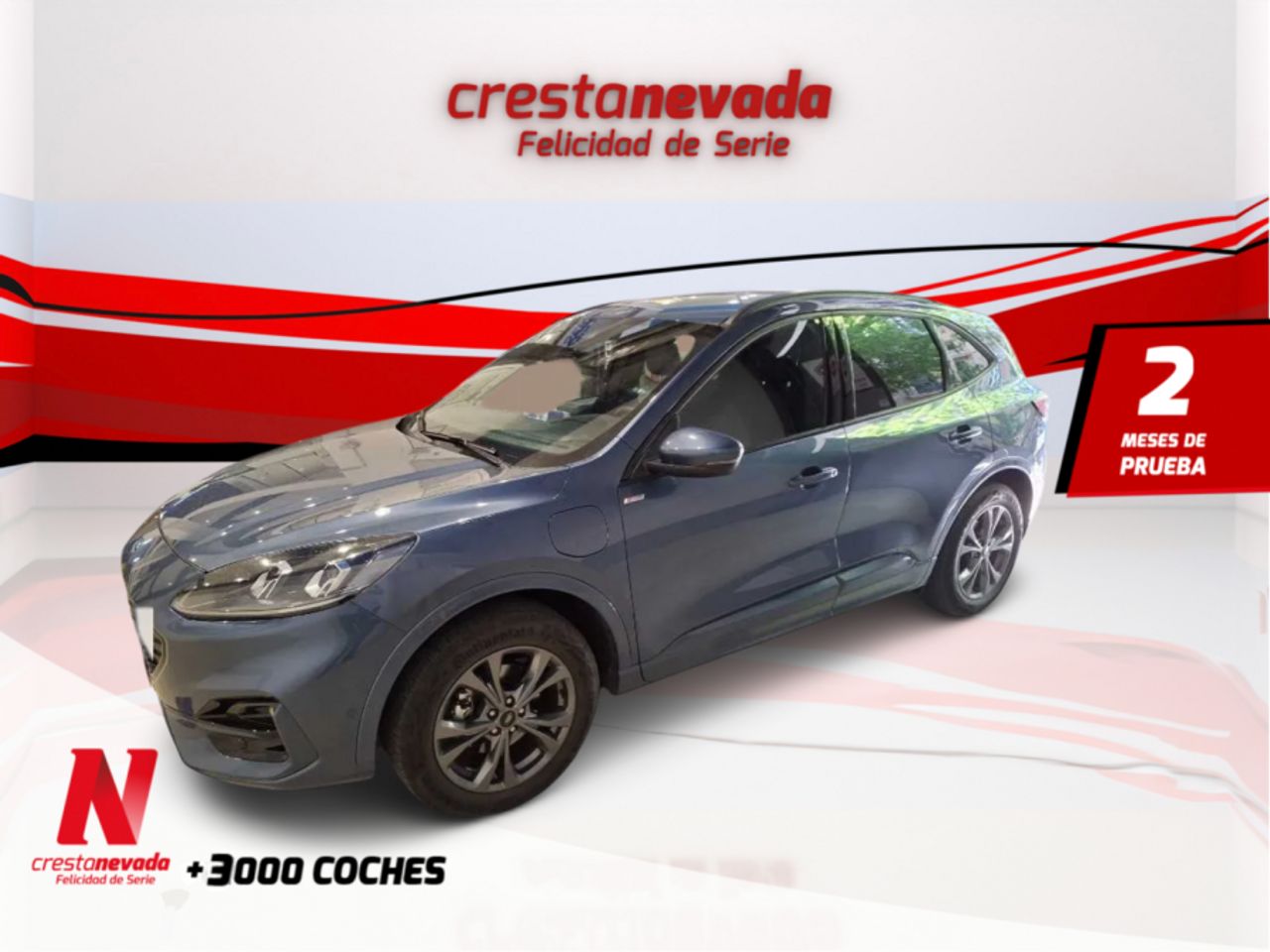 ford kuga 2021 /