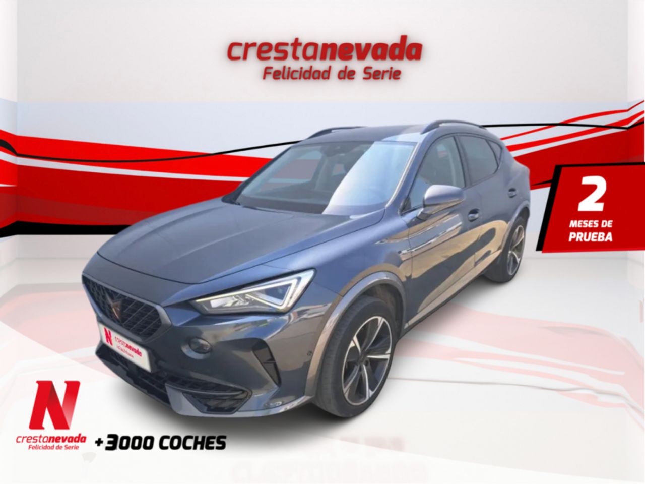 cupra formentor 2023 /