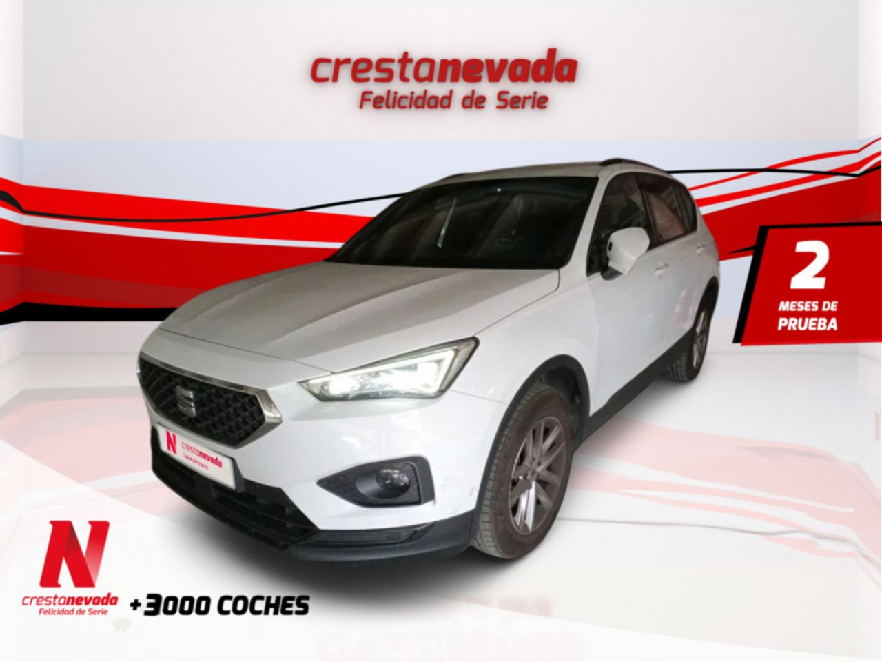 seat tarraco 2023 /