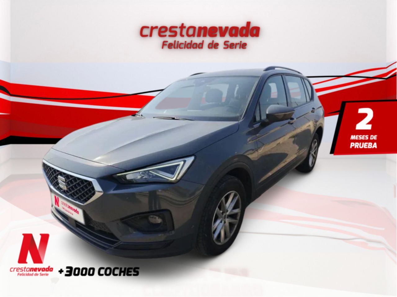 seat tarraco 2023 /