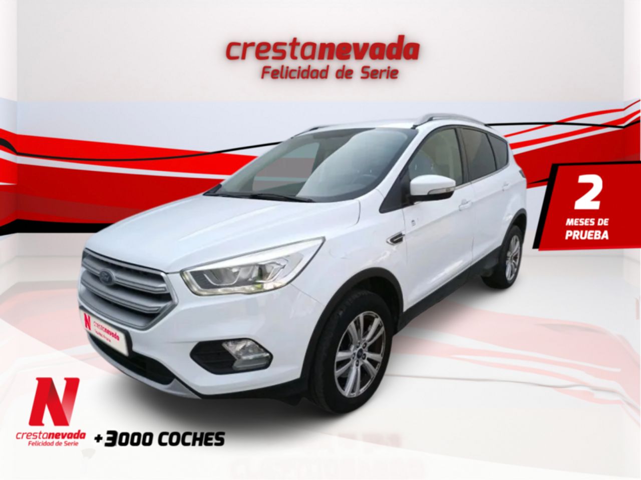 ford kuga 2019 /