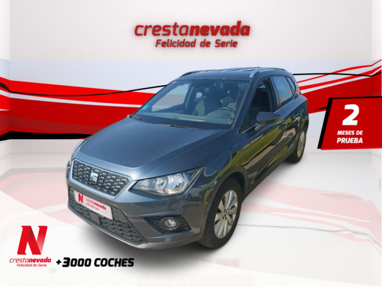 seat arona 2019 /