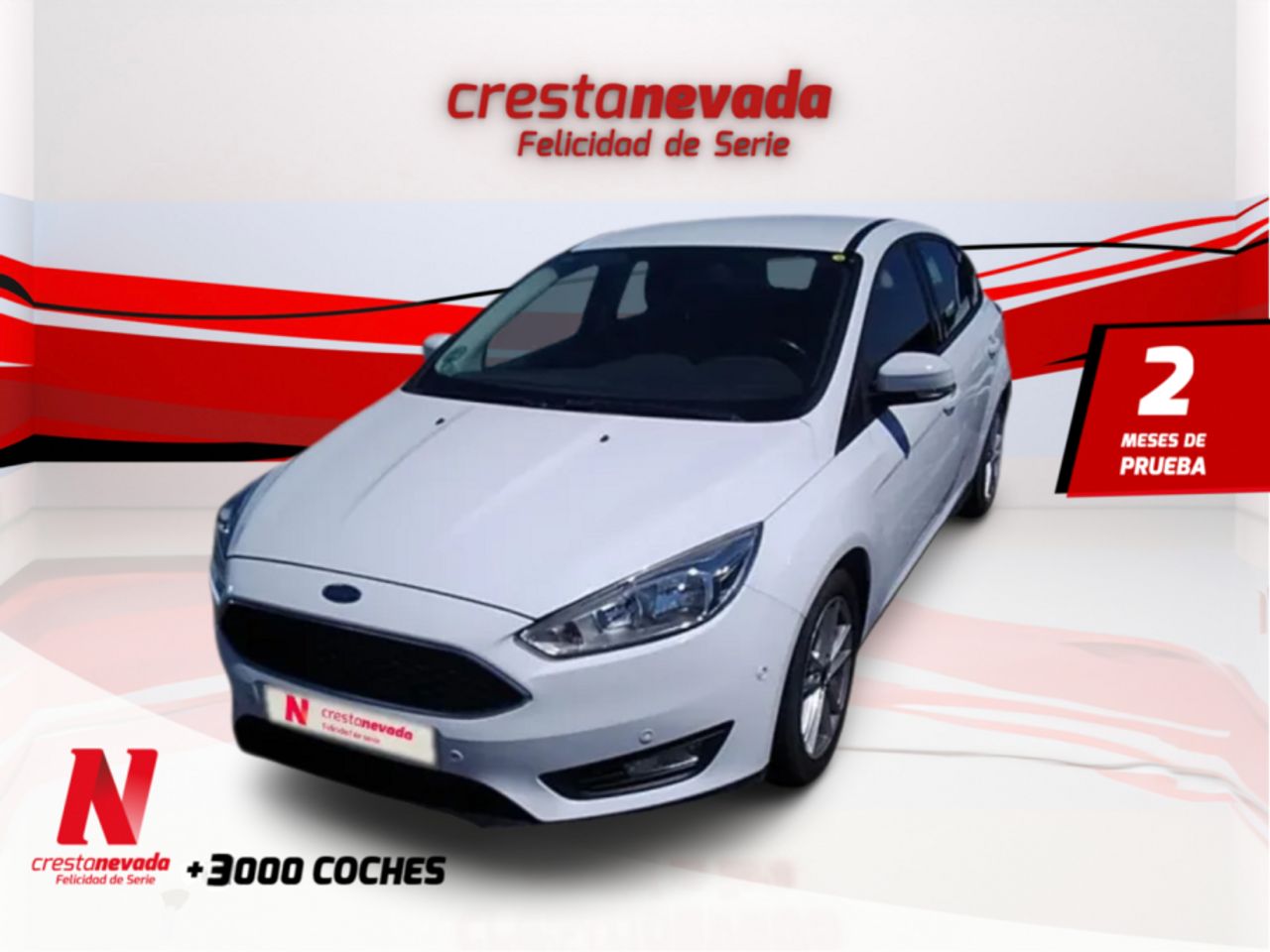 ford focus 2016 /