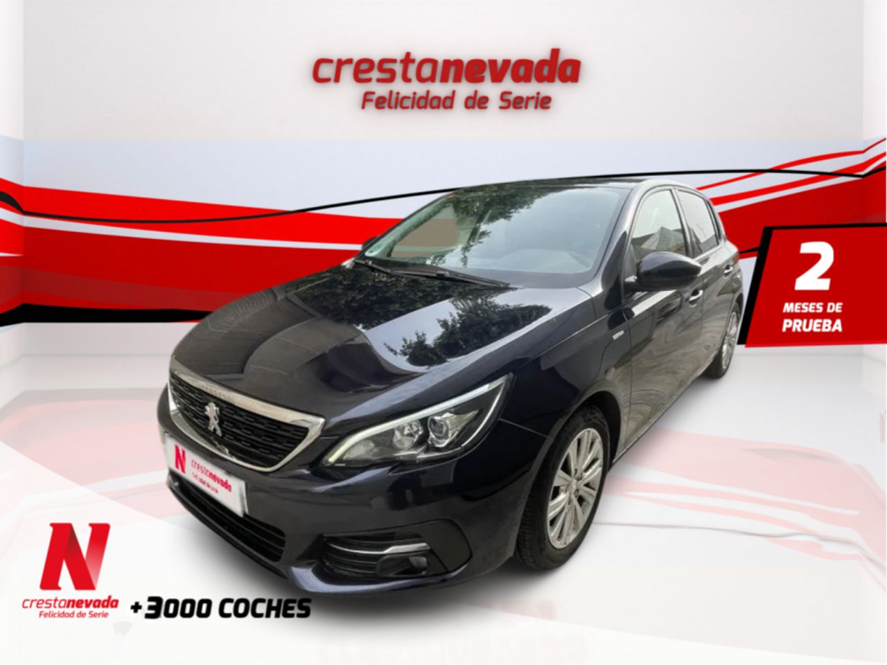 peugeot 308 2019 /