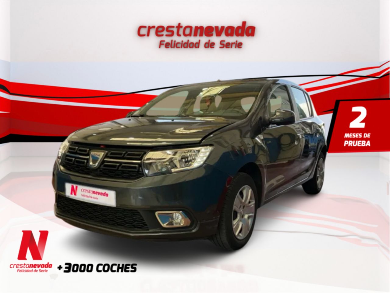 dacia sandero 2019 /