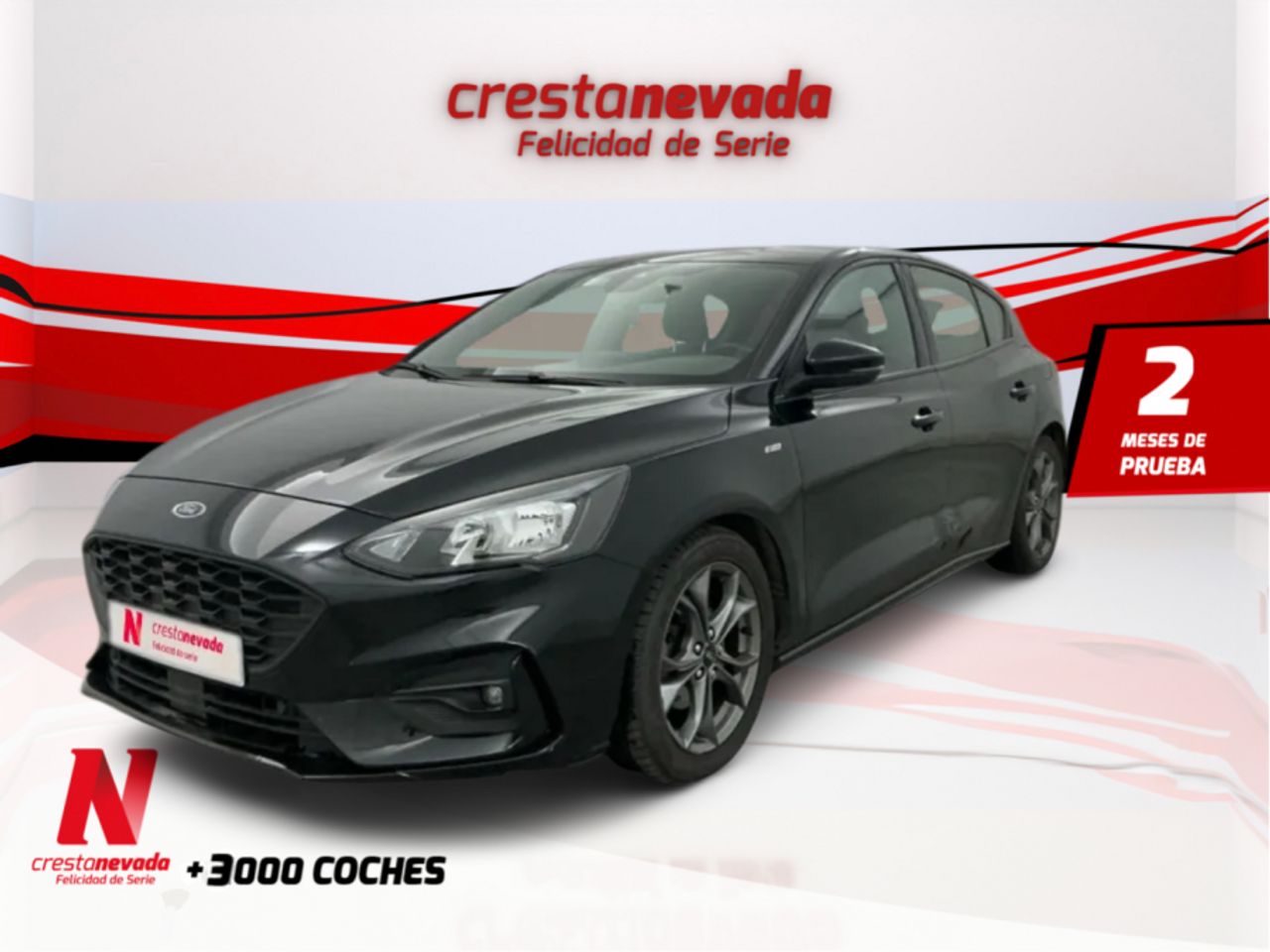 ford focus 2019 /