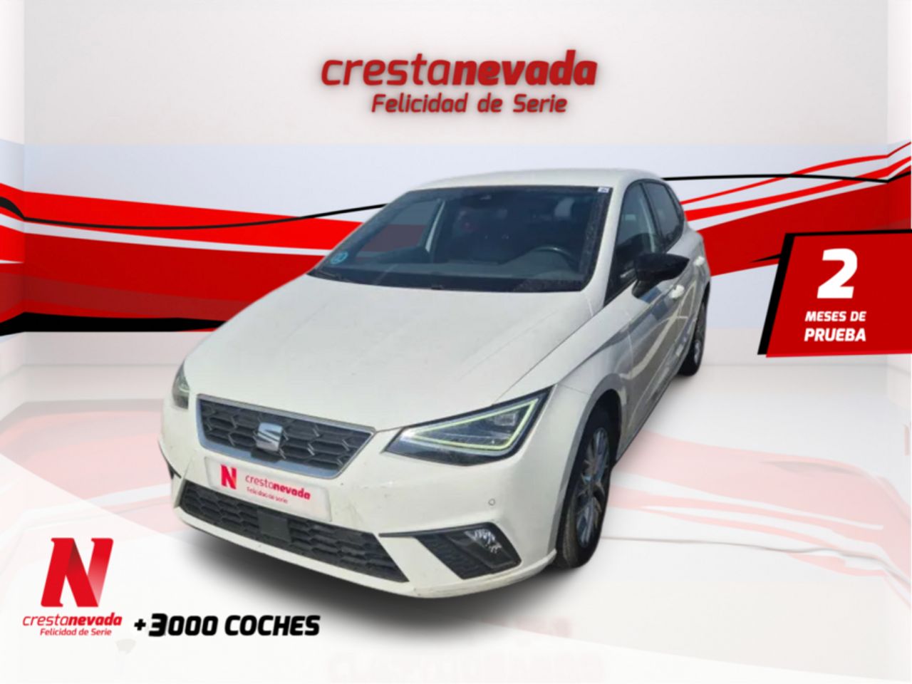 seat ibiza 2022 /