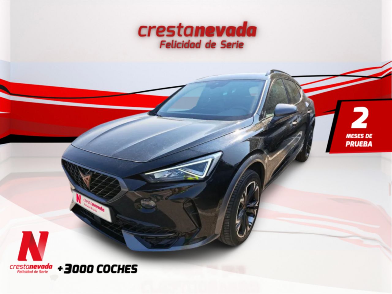 cupra formentor 2021 /