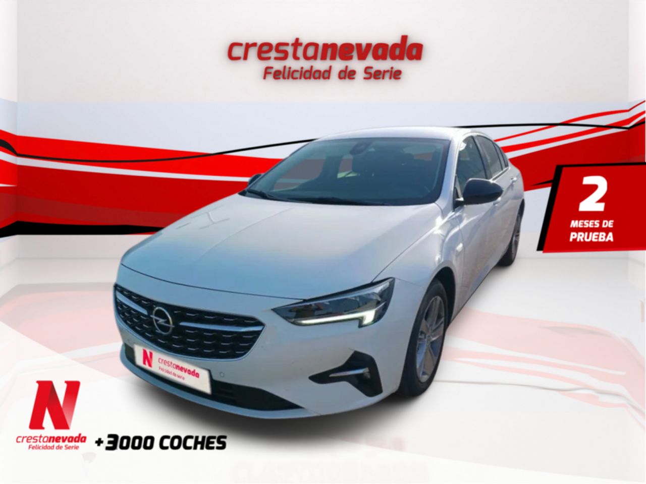 opel insignia  2022 /