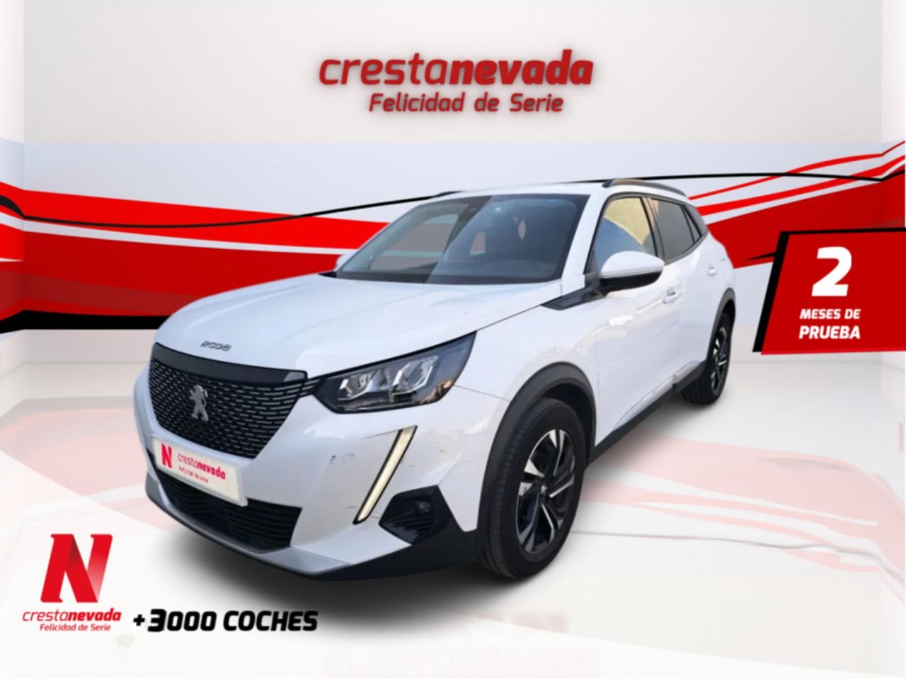 peugeot 2008 2021 /