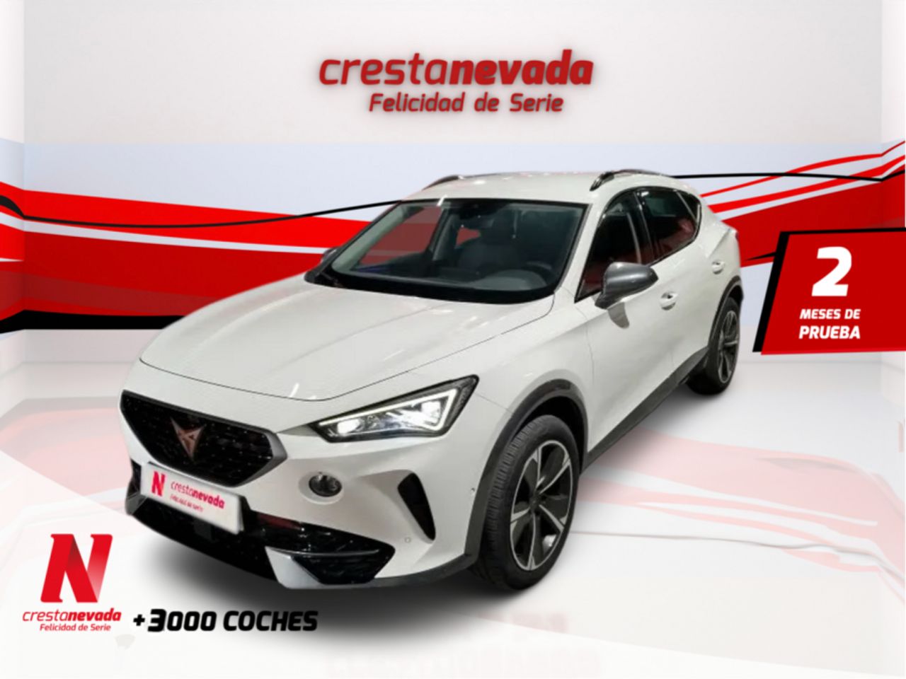 cupra formentor 2022 /
