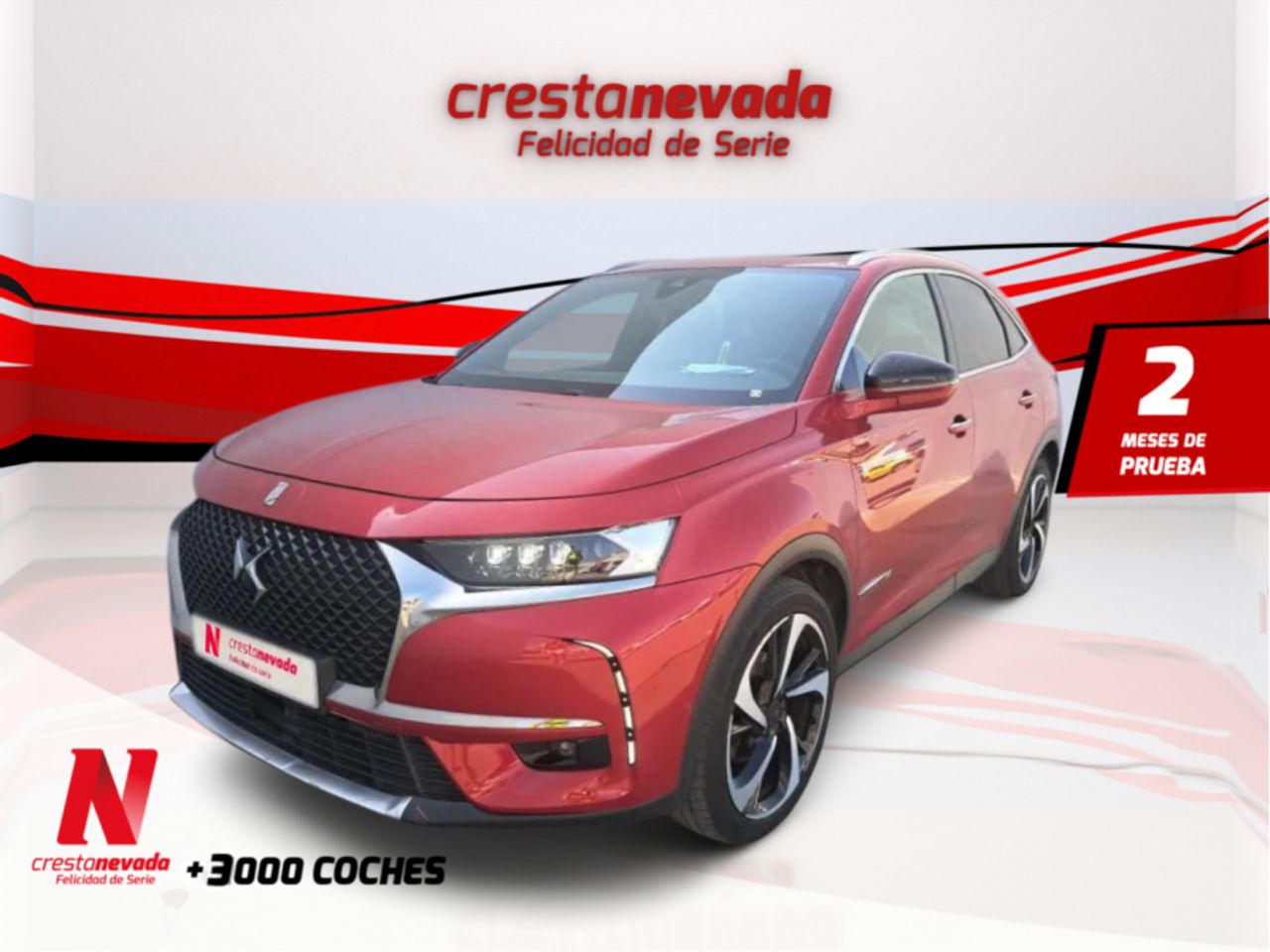 ds ds 7 2019 /