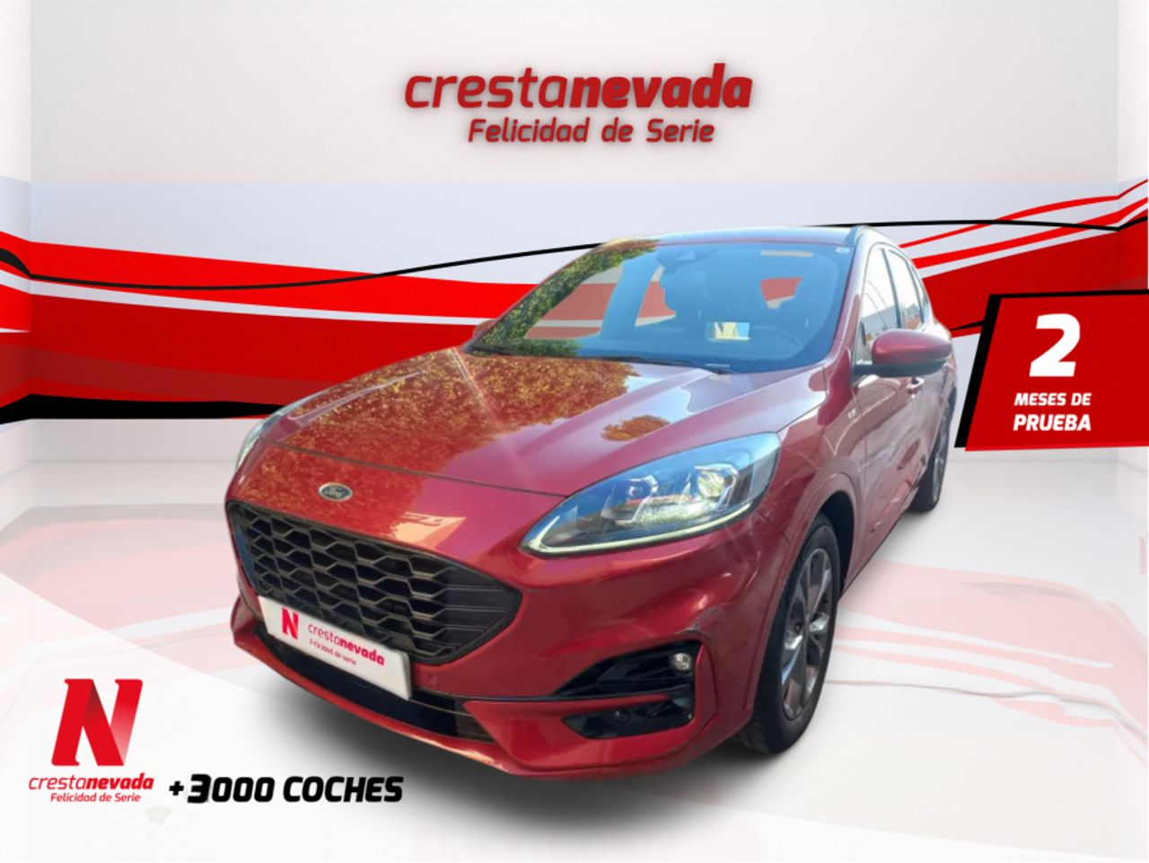 Ford Kuga STLine 1.5 EcoBoost 110kW 150CV