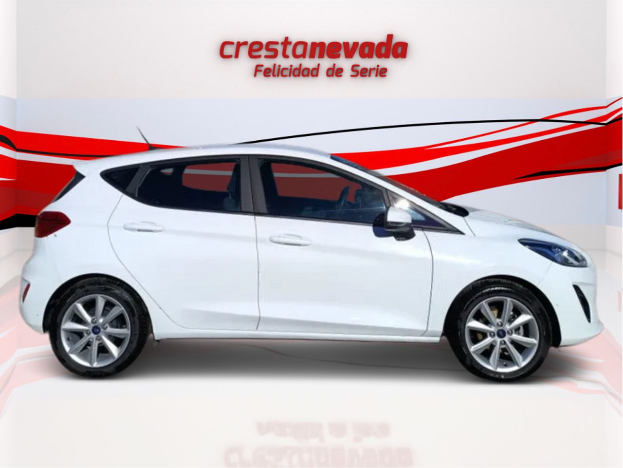 Ford Fiesta 1.5 TDCi 63kW 85CV Trend 5p - foto 4