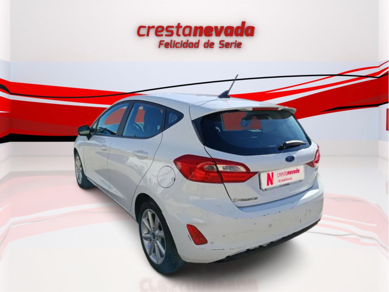 Ford Fiesta 1.5 TDCi 63kW 85CV Trend 5p - foto 7