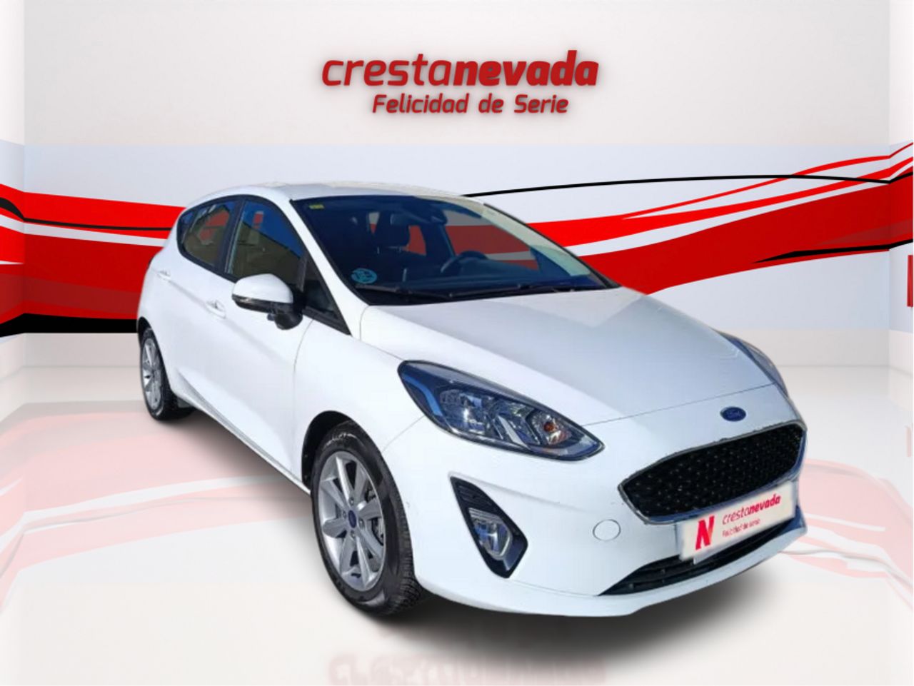 Ford Fiesta 1.5 TDCi 63kW 85CV Trend 5p - foto 3