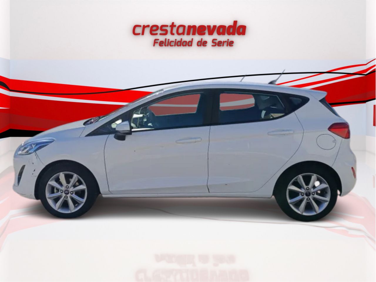 Ford Fiesta 1.5 TDCi 63kW 85CV Trend 5p - foto 5