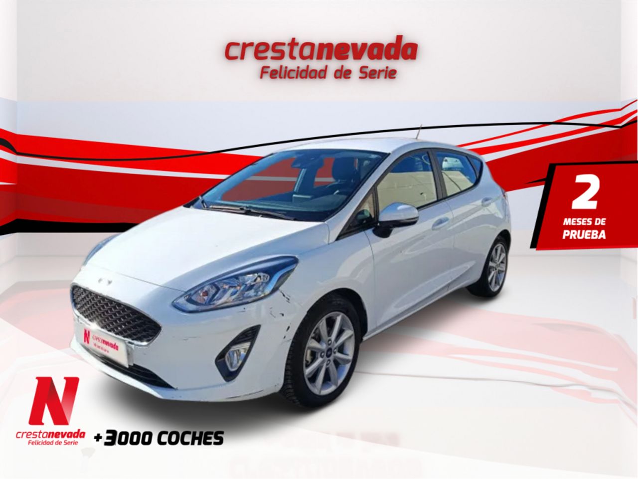 Ford Fiesta 1.5 TDCi 63kW 85CV Trend 5p
