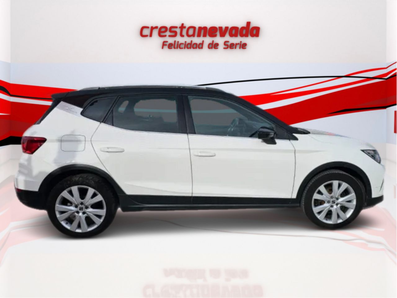 Seat Arona 1.0 TSI 81kW 110CV Xperience Plus - foto 4